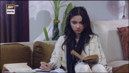 Baby Baji - Episode 29 - 20th June 2023